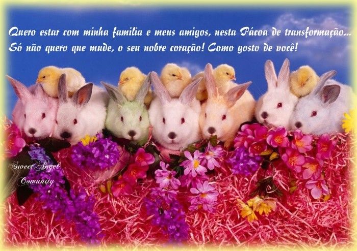 Busy-Bunnies.jpg