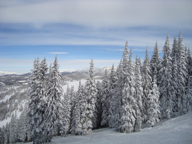 DSC00050.JPG
