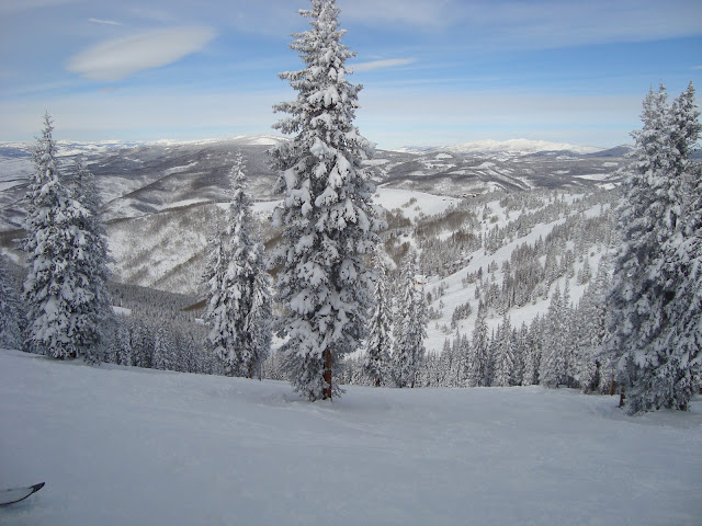 DSC00051.JPG