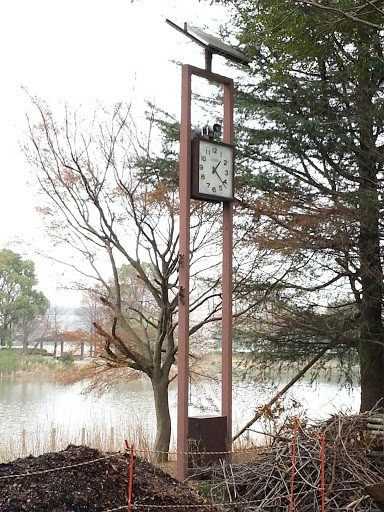 Kashiwanoha Park Lake Squirrel Clock