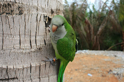 屏東恆春六福山莊 @99 年春節露營