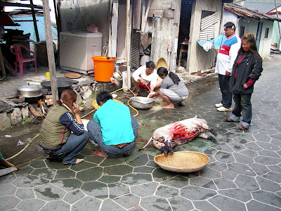 高雄茂林，屏東墾丁 @95 年春節露營 (2-1)