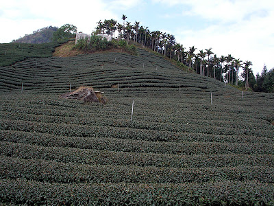 高雄那瑪夏拉比尼亞露營山莊 @98 年春節移動露營 (4-4)