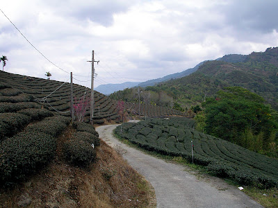 高雄那瑪夏拉比尼亞露營山莊 @98 年春節移動露營 (4-4)