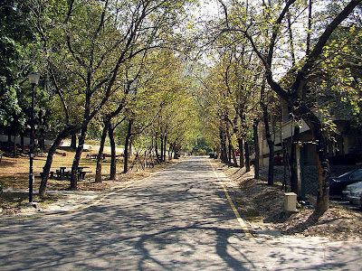 屏東三地門賽嘉營地 @98 年春節移動露營 (4-3)