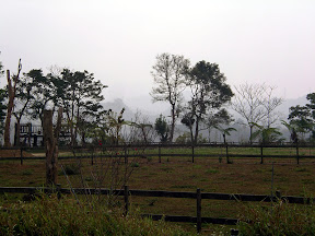 苗栗大湖老官道休閒農場 @八大露營社風箏美食營