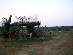 苗栗大湖老官道休閒農場 @八大露營社風箏美食營