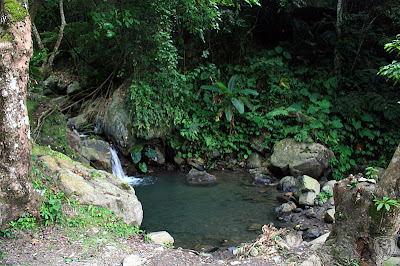 新竹五峰谷燕鳟魚養殖場露營區 @定點露營