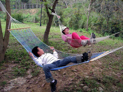 新竹關西飛鳳園農場 @定點露營