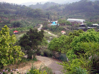 新竹關西飛鳳園農場 @定點露營
