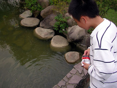 新竹關西飛鳳園農場 @定點露營