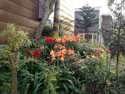 新竹關西飛鳳園農場 @定點露營