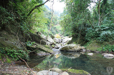 新竹北埔永茂森林山莊 @2009 第一屆古典燈爐聚會