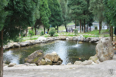 新竹北埔永茂森林山莊 @2009 第一屆古典燈爐聚會