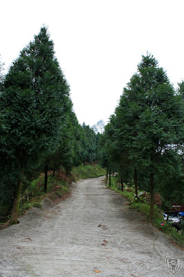 新竹北埔永茂森林山莊 @2009 第一屆古典燈爐聚會