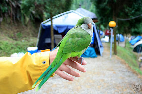 新竹北埔永茂森林山莊 @2009 第一屆古典燈爐聚會
