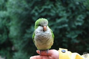 新竹北埔永茂森林山莊 @2009 第一屆古典燈爐聚會