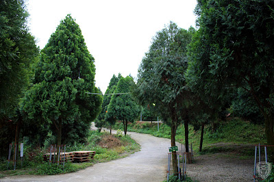 新竹北埔永茂森林山莊 @八大露營社北區迎新活動