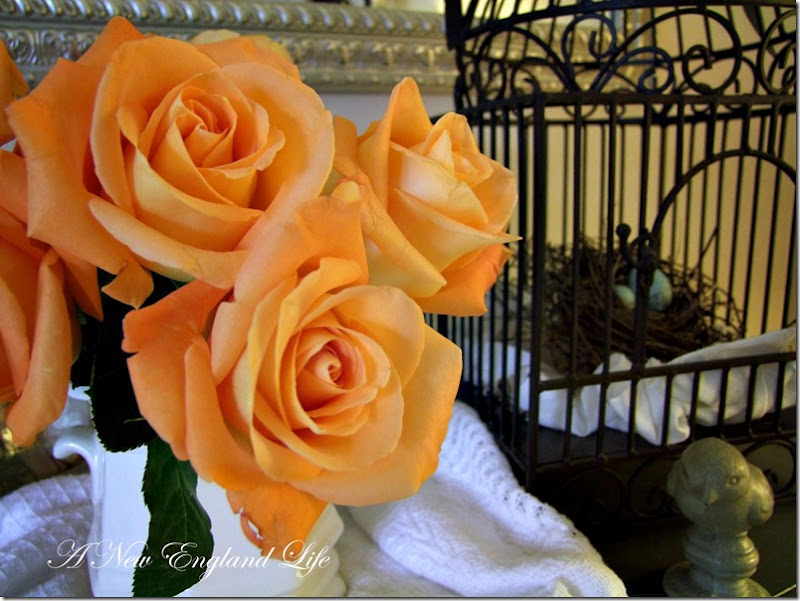 roses bird cage