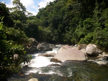 Sendero por el Rio Hacha.