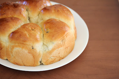 side-angle photo of soft and fluffy raisin rolls on a plate