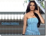 4210540204_1f31aa43c0_o