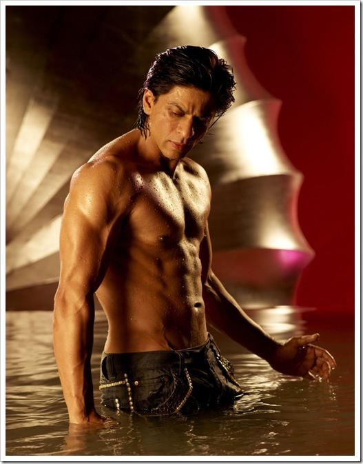 Shahrukh Khan shirtless body