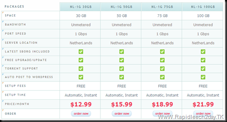 NetherLands 1Gbps Premium sBorg Hosting with Unmetered Bandwidth