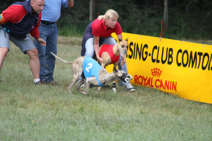 Championnat%20Europe%20Coursing%202010%20010.JPG