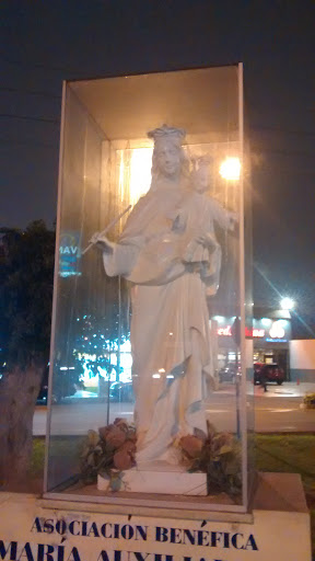 Virgen Maria Auxiliadora De La Fontana 
