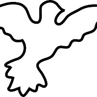 paloma9.jpg