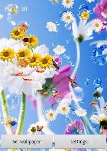 Flowers Pro Live Wallpaper Screen 2