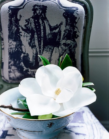 [hal williamson magnolia[5].jpg]