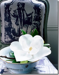 hal williamson magnolia