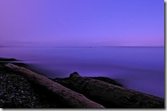 flickr purple haze coastal mist-ery