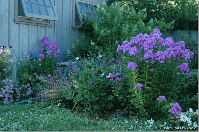 garden_shed hungry horse ranch 2.jpg