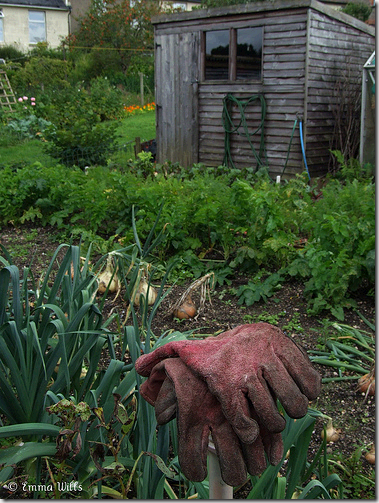 garden shed gloves flickr