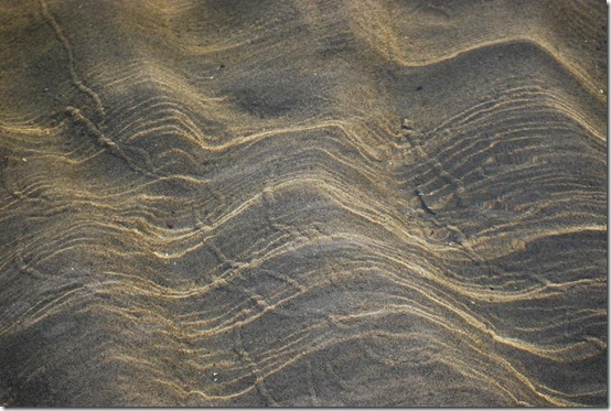 sand and ripples RS