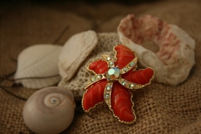 Beach House Living(tm)vintage  coral crystal starfish pin 2-2010
