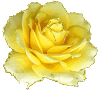 20081115180911462.png