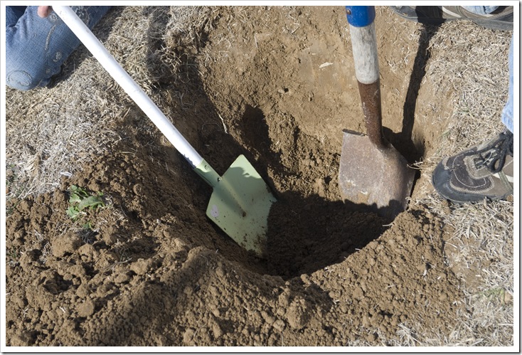 Shovels in hole a