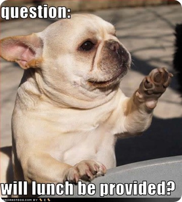 funny-dog-pictures-lunch-provided