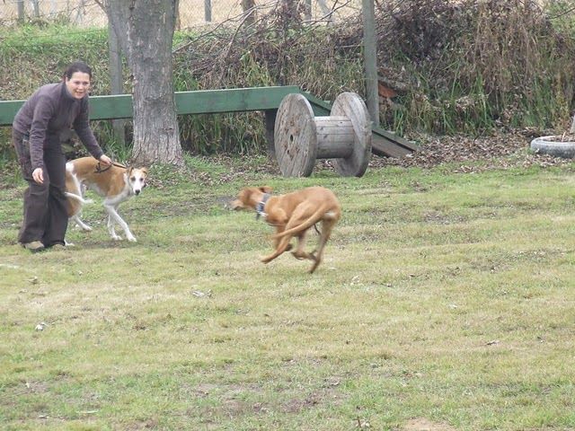 DSCF3228.JPG