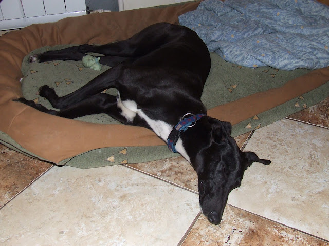 DSCF4096.JPG