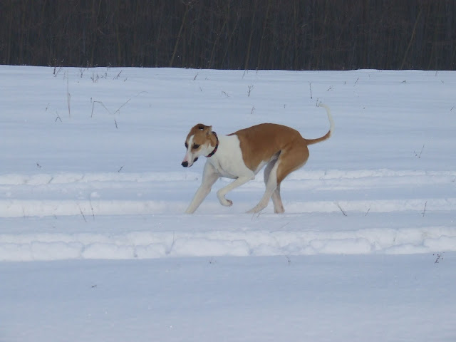DSCF3870.JPG