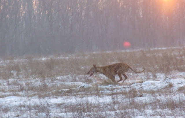 DSCF4609.JPG