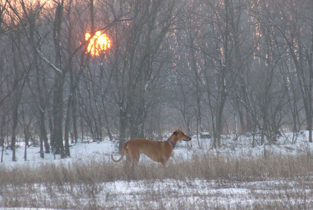 DSCF4613.JPG