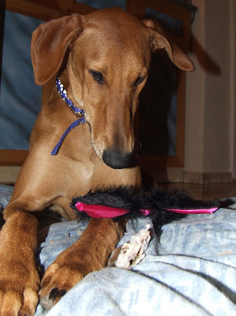 DSCF4800.JPG
