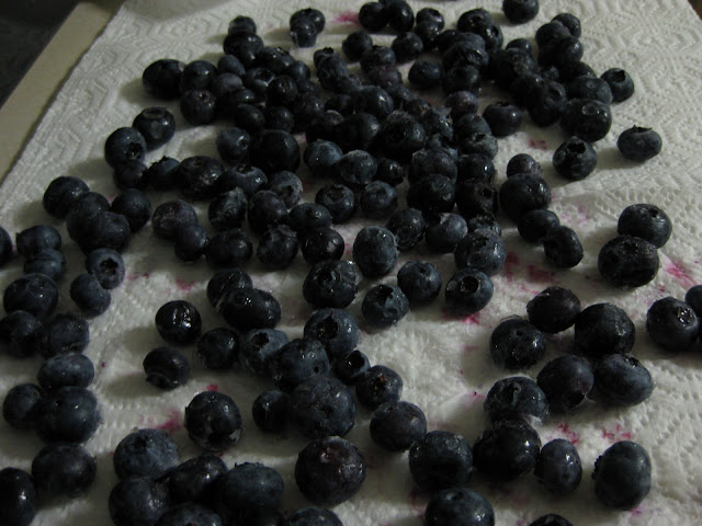 Thawing, rinsing and drying blueberries