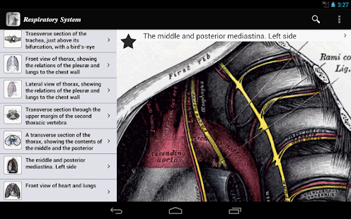 Free Download Gray's Anatomy 2012 APK for Android